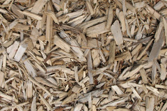 biomass boilers Pegswood